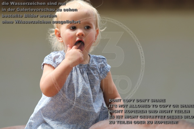 s_IMG_5650.JPG